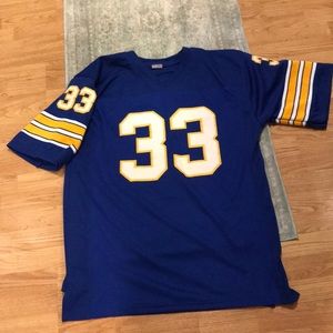 Tony Dorsett College Jersey 33